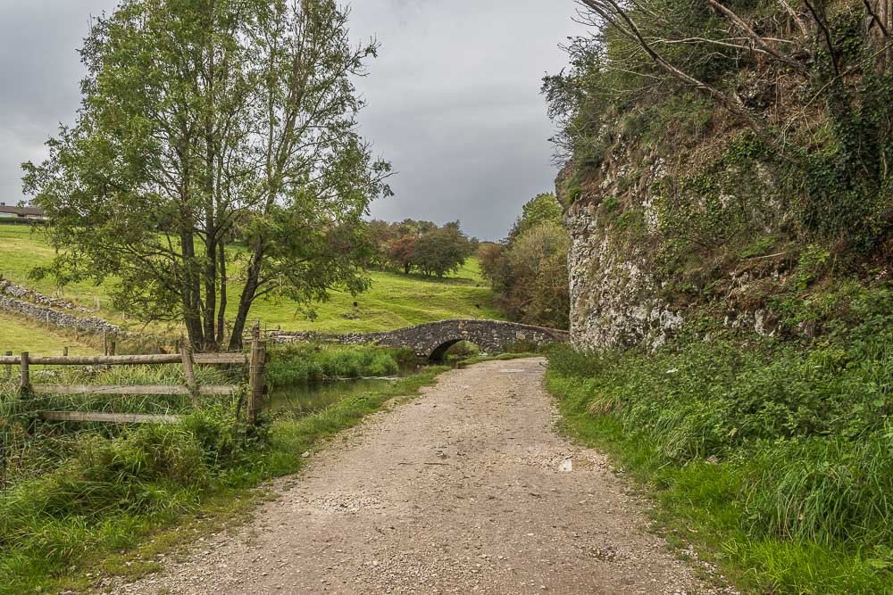 Bradford Dale